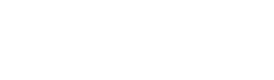Logo Print Laser